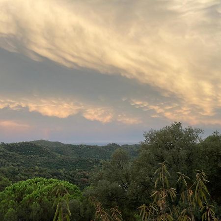 Casa Con Vista Y Jardin, A 20' De La Playa Βίλα Sant Cebrià de Vallalta Εξωτερικό φωτογραφία